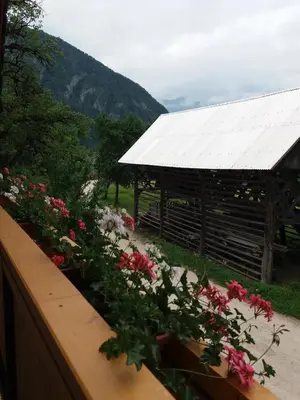 a group of flowers in front of a wooden pavilion at Apartma Momo in Bohinj