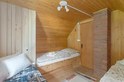 a sauna with a bed in a wooden cabin at Zalin planinski raj in Goreljek