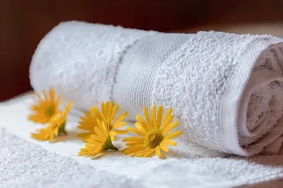 a roll of toilet paper with flowers on it at Zalin planinski raj in Goreljek