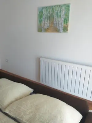 a bedroom with a bed with a radiator on the wall at APARTMENT PRIMČEVA in Maribor