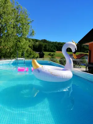 an inflatable swan in a swimming pool at Apartment Tina with Seasonal Pool in Podsreda
