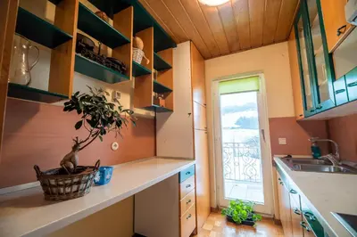 a kitchen with a sink and a plant in a basket at Apartment Tina with Seasonal Pool in Podsreda