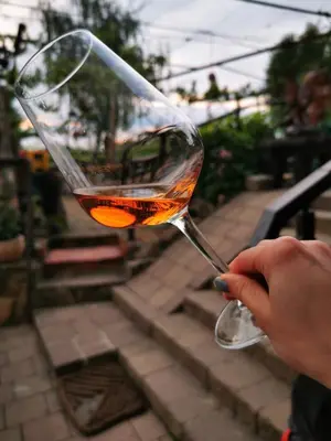 a person is holding a glass of wine at Turistična kmetija HLEBEC in Kog