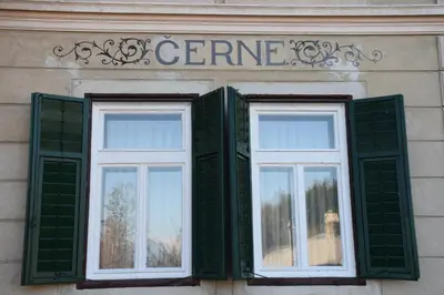 two windows on the side of a building with green shutters at Vila Černe in Bled