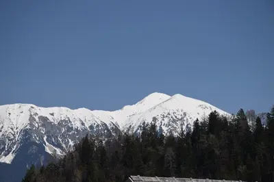 a snow covered mountain with trees in the foreground at Vila Černe in Bled