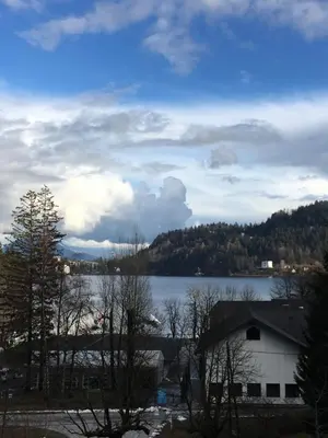 a view of a lake with a house and trees at Vila Černe in Bled