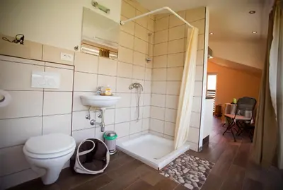 a bathroom with a shower and a toilet and a sink at Apartments Soča in Kobarid