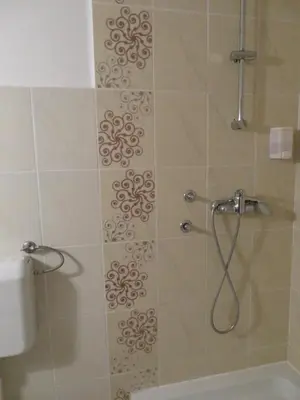 a bathroom with a shower with a shower at Sobe ob Sotočju Budič Čatež ob Savi in Brežice