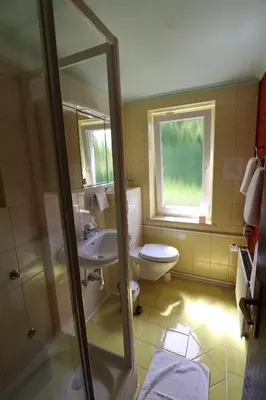 a bathroom with a toilet and a sink at Pod Orehi Guest House in Loče pri Poljčanah