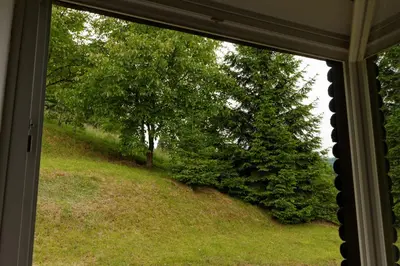 a window view of a field of grass and trees at Pod Orehi Guest House in Loče pri Poljčanah