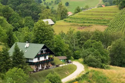 a house on a hill next to a road at Pod Orehi Guest House in Loče pri Poljčanah