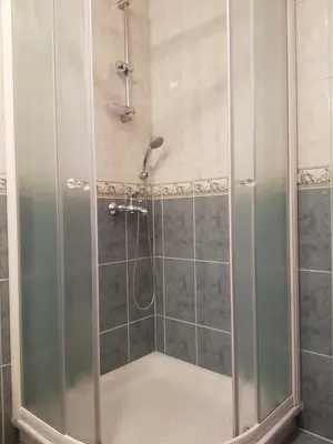 a shower with a glass door in a bathroom at Vaznik Farm House Apartments in Bled