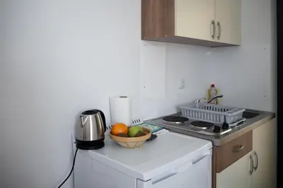a kitchen with a bowl of fruit on top of a refrigerator at Beekeeping Kojek in Ribnica