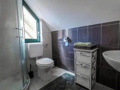 a bathroom with a toilet and a sink and a window at Beekeeping Kojek in Ribnica