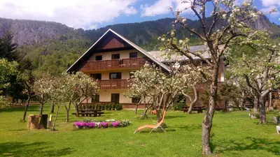 a house in the middle of a field with trees at Apartments Arh in Bohinj