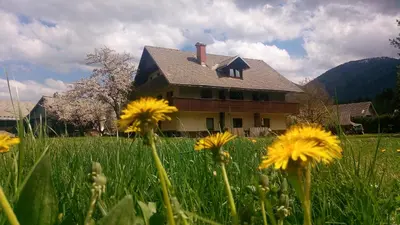 a house in a field with yellow flowers in the foreground at Apartments Arh in Bohinj