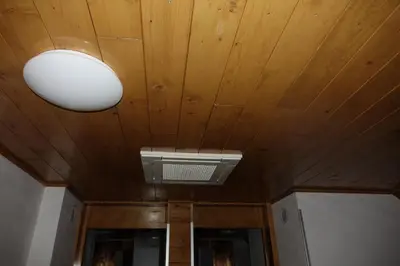 a ceiling with a light and a vent in a room at BOOA Rooms Irena in Bohinj