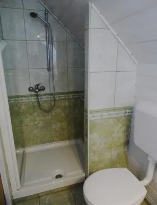 a bathroom with a shower with a toilet and a shower at Apartments Zorč in Bohinj
