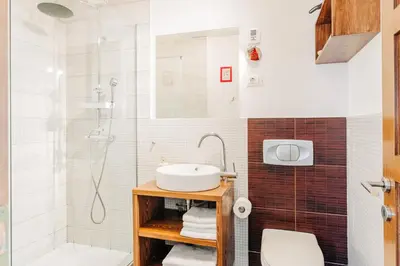 a bathroom with a sink and a shower at Apartment House Blazar in Tolmin