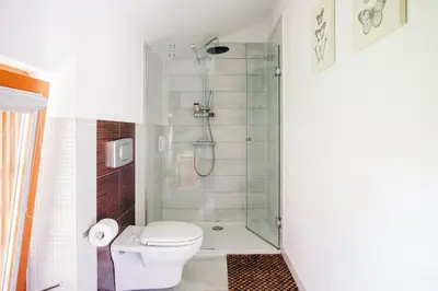 a bathroom with a shower and a toilet at Apartment House Blazar in Tolmin