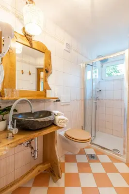 a bathroom with a sink and a shower and a toilet at Čarman House in Bled