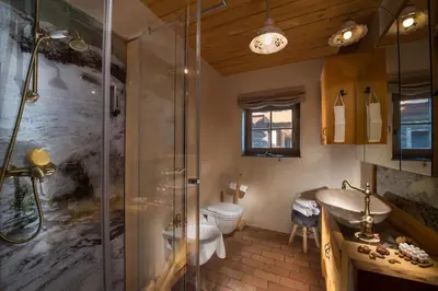 a bathroom with a shower and a toilet and a sink at Bio Apartments Trnulja in Ljubljana