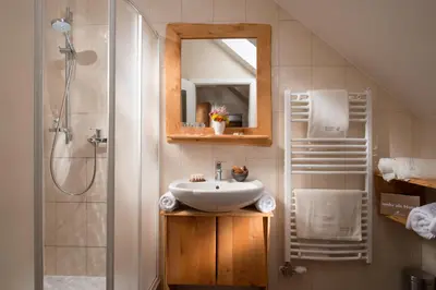 a bathroom with a sink and a shower at Bio Apartments Trnulja in Ljubljana