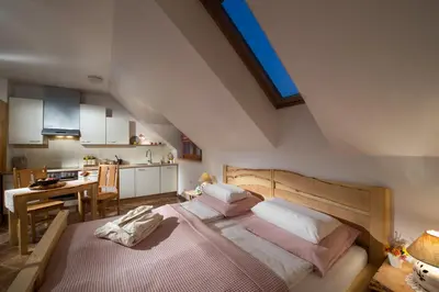 a bedroom with a large bed and a kitchen at Bio Apartments Trnulja in Ljubljana