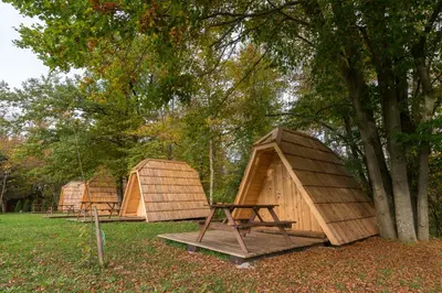 a group of three wooden huts in a park at Glamping Village - Speleo Camp in Logatec