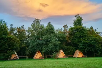 a group of tents in a field with trees at Glamping Village - Speleo Camp in Logatec