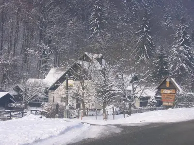 a snow covered yard with a house and trees at Apartments Gubanec in Cerklje na Gorenjskem