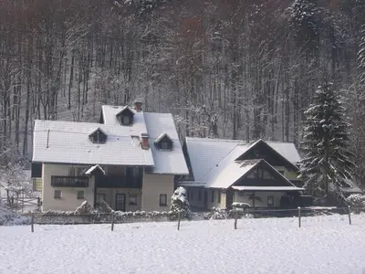 a house covered in snow in the snow at Apartments Gubanec in Cerklje na Gorenjskem