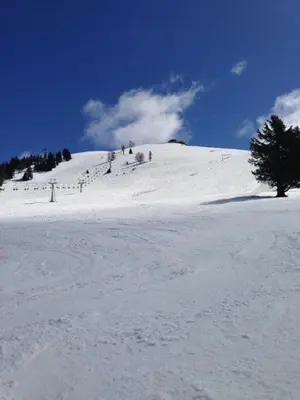 a snow covered hill with a tree on top of it at Apartments Gubanec in Cerklje na Gorenjskem