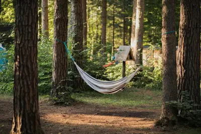 a hammock hanging between two trees in a forest at Forest Camping Mozirje in Mozirje