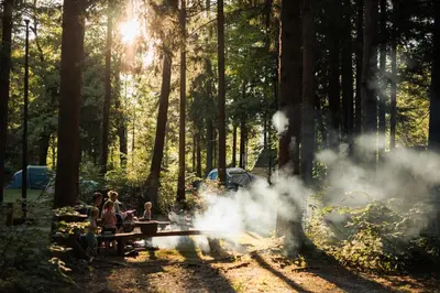 a group of people sitting at a picnic table in a forest at Forest Camping Mozirje in Mozirje