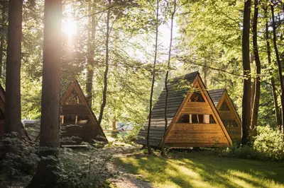 a group of small wooden homes in the woods at Forest Camping Mozirje in Mozirje