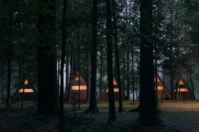a group of tents in a forest at night at Forest Camping Mozirje in Mozirje