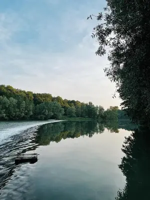 a river with trees reflecting in the water at Vintage tent at the Lovsin Estate in Metlika