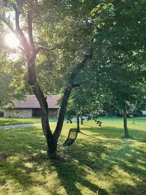 a bench sitting under a tree in a field at Vintage tent at the Lovsin Estate in Metlika