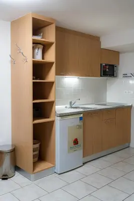 a kitchen with wooden cabinets and a white dishwasher at Panorama B&B in Ptuj