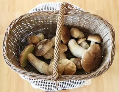a basket full of mushrooms sitting on a table at Apartmaji Nena in Ročinj