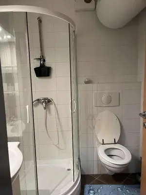 a small bathroom with a shower and a toilet at Apartma Ajda in Moravske Toplice