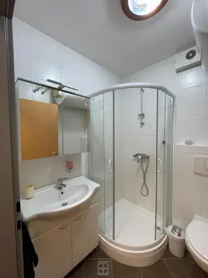 a bathroom with a shower and a sink and a toilet at Apartma Ajda in Moravske Toplice