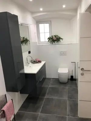 a bathroom with a sink and a toilet at Apartment Aria in Kobarid