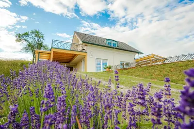 a house with purple flowers in front of it at Villa Zupan with Hot Tub in Škocjan
