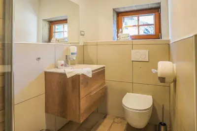 a small bathroom with a toilet and a sink at Apartmaji Tina in Zgornje Gorje