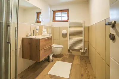 a bathroom with a toilet and a sink and a shower at Apartmaji Tina in Zgornje Gorje