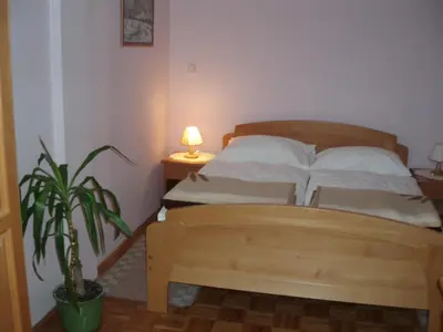 a bedroom with a bed and a potted plant at Motel Divjak in Spodnje Hoče