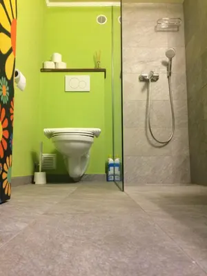 a green bathroom with a toilet and a shower at Guesthouse Marko in Bled