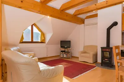 a living room with a fireplace and a wood stove at Koritnica Apartments in Bovec